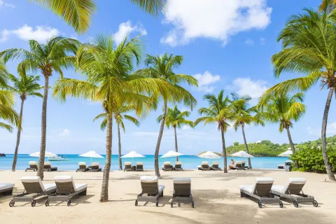 Palm trees, loungers, and white umbrellas line the beach at Carlisle Bay.