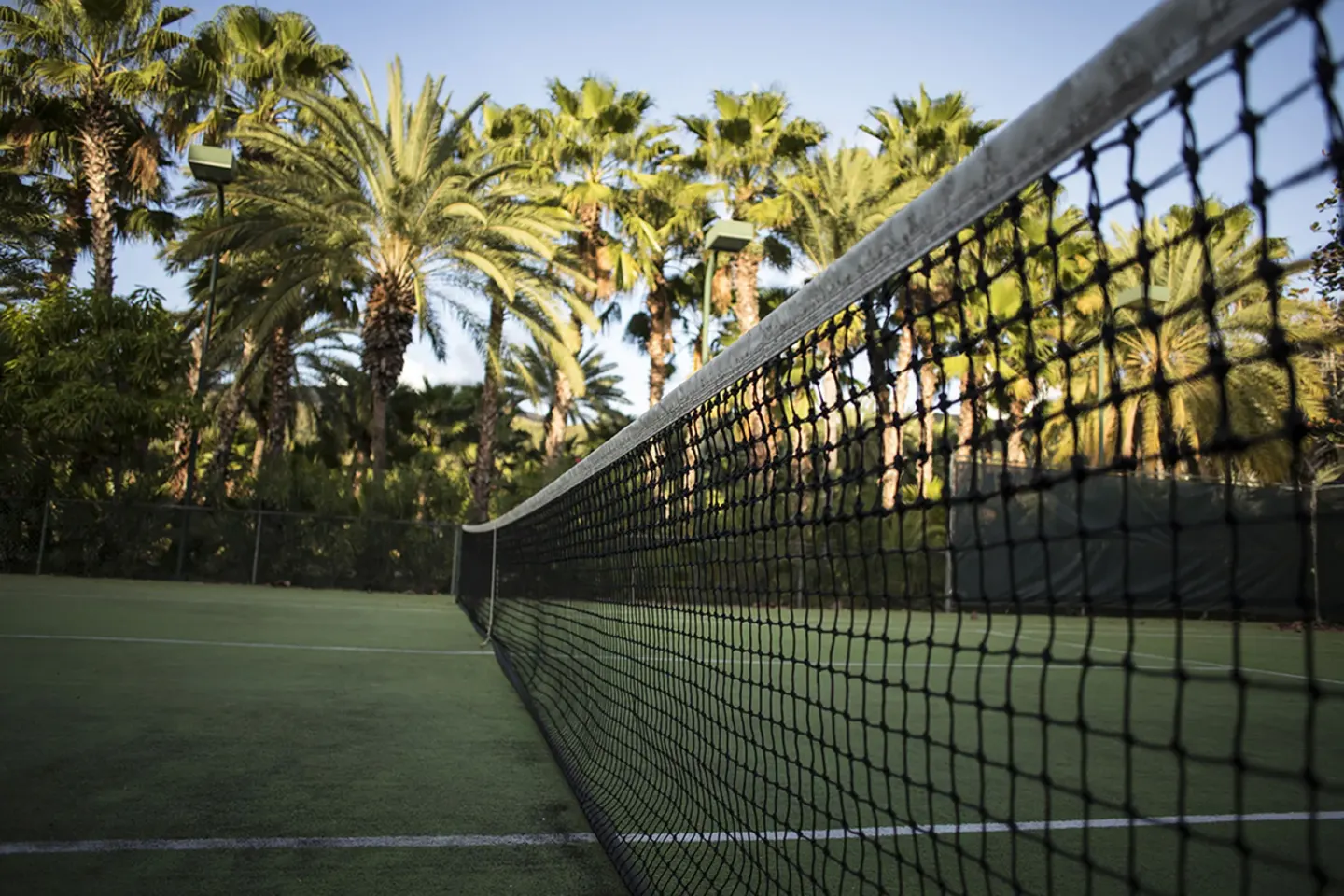 A tennis net stretches across a shaded palm-lined court at Carlisle Bay.