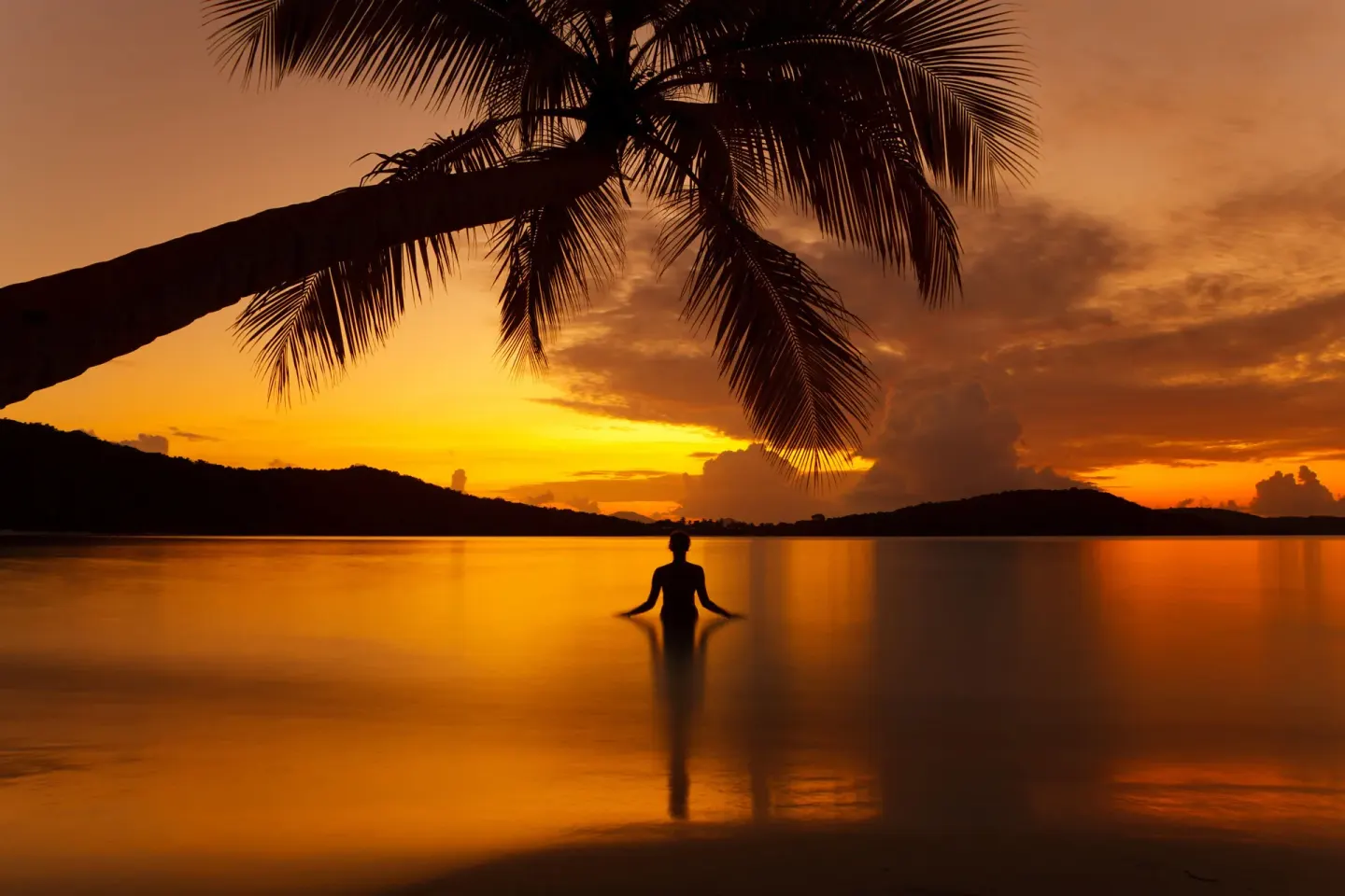 A person stands in calm water beneath a palm silhouette at sunset at Carlisle Bay.