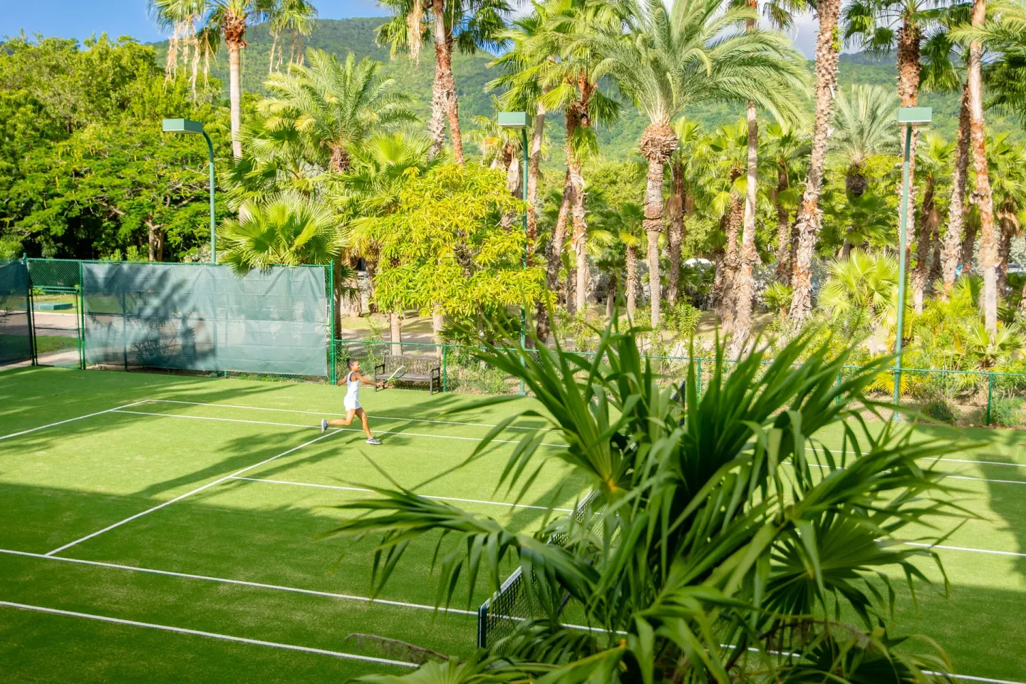 A tennis player returns a shot on a palm-lined court at Carlisle Bay.