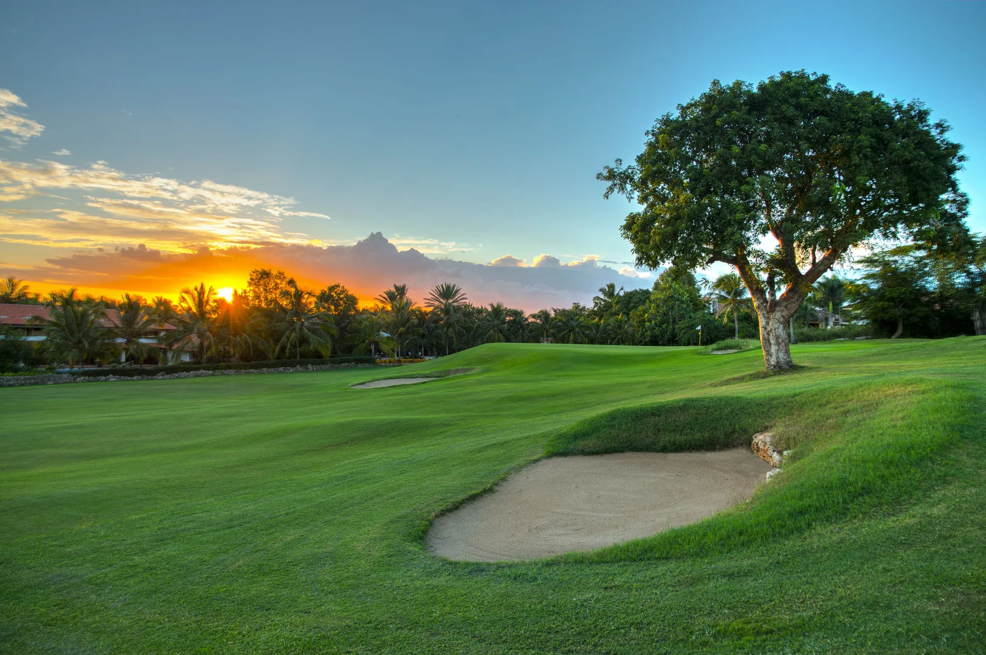 Golf fairway, sand bunker, and large tree at sunset at Casa de Campo Resort and Villas.
