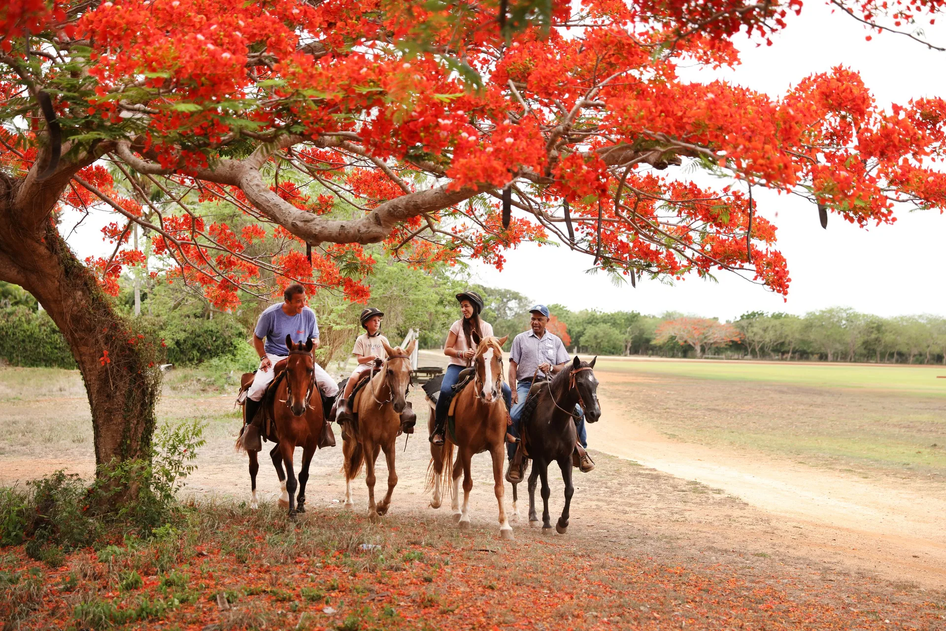 Horseback riders under a red-flowering tree at Casa de Campo Resort and Villas.