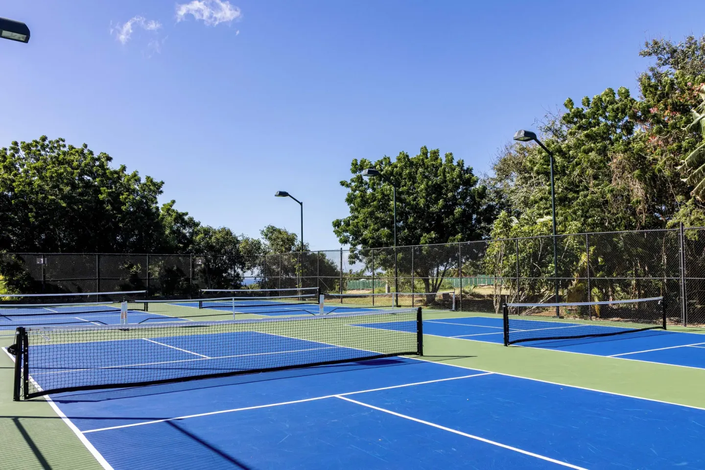 Blue and green pickleball courts sit among trees at Casa de Campo Resort and Villas and Villas and Villas.