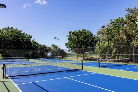 Blue and green pickleball courts sit among trees at Casa de Campo Resort and Villas and Villas and Villas.