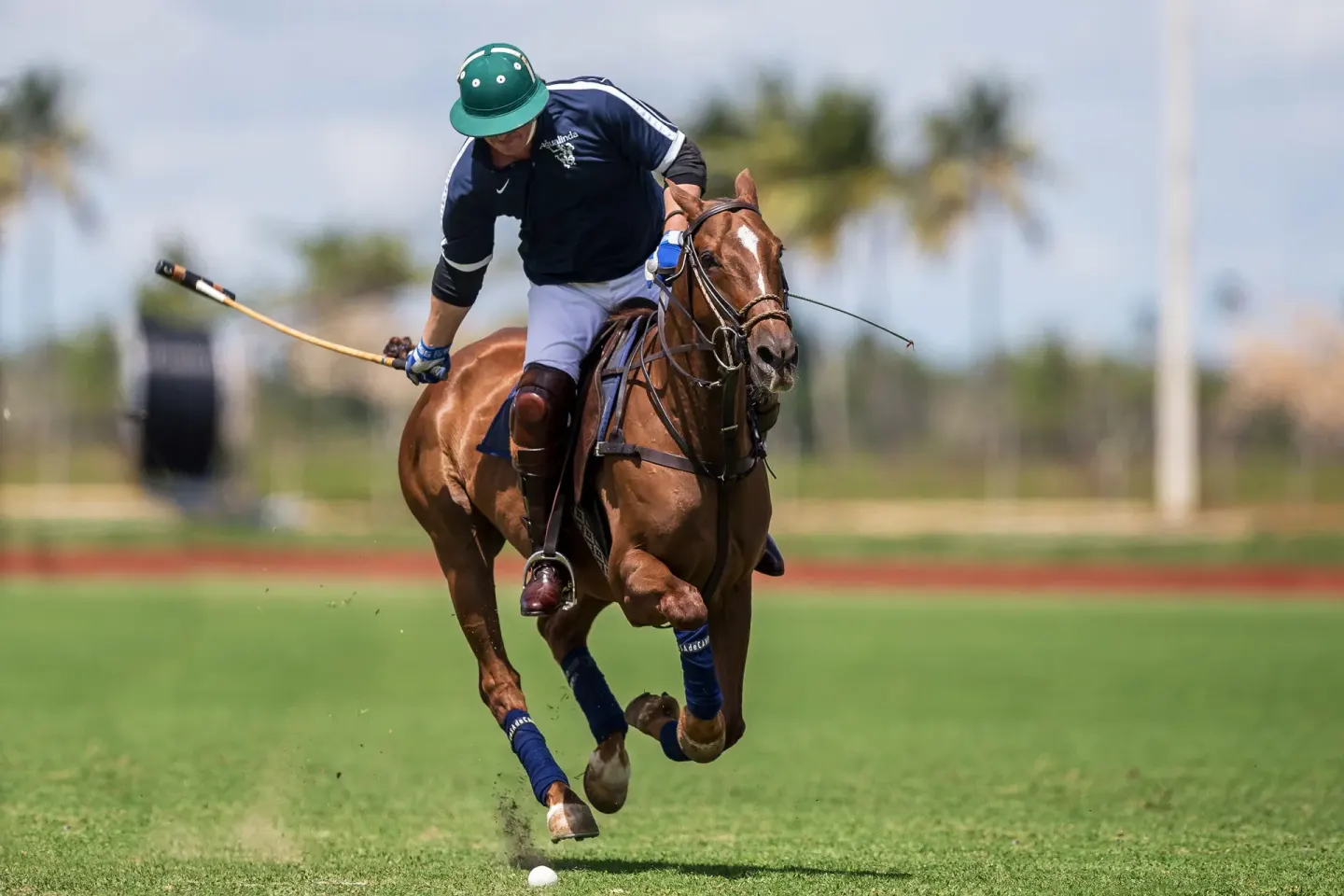 Polo player riding a horse across the field at Casa de Campo Resort and Villas and Villas and Villas.