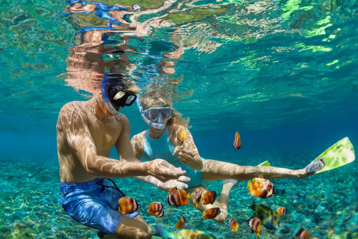 Snorkelers swim with colorful fish near Casa de Campo Resort and Villas and Villas and Villas.