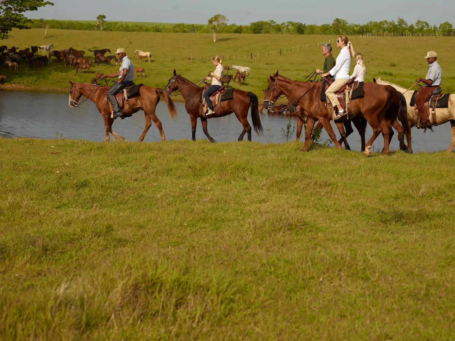 Casa De Campo Equestrian Center 5 Min Walk
