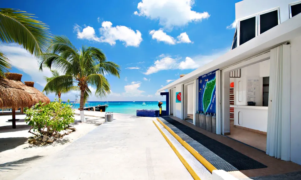 Beachfront walkway and dive desk with palm trees and ocean at Casa del Mar Cozumel Hotel & Dive Resort