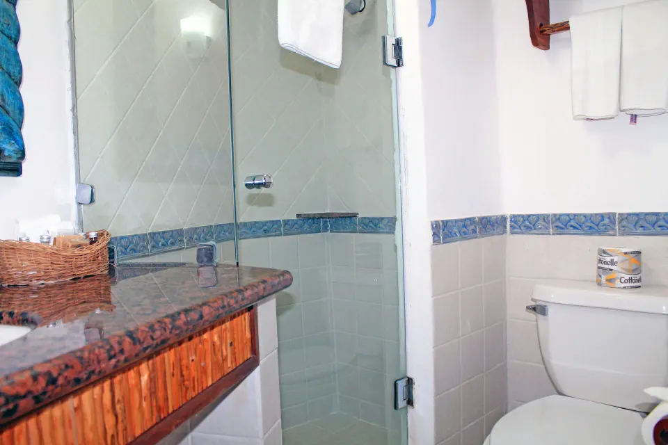 Bathroom with glass shower and toilet in a guest room at Casa del Mar Cozumel Hotel & Dive Resort