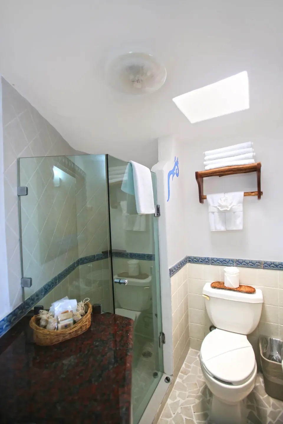Bathroom with glass shower enclosure and toilet at Casa del Mar Cozumel Hotel & Dive Resort