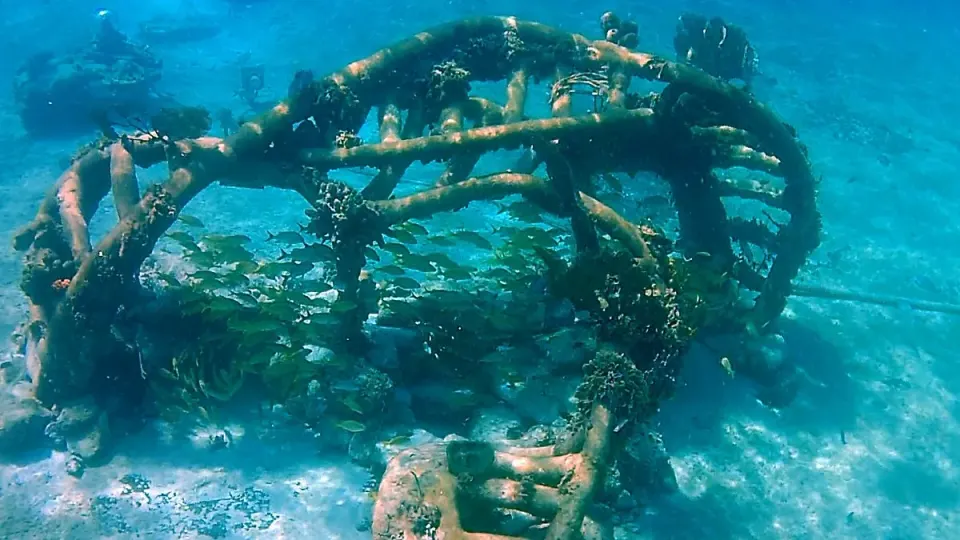 Villa Blanca Reef