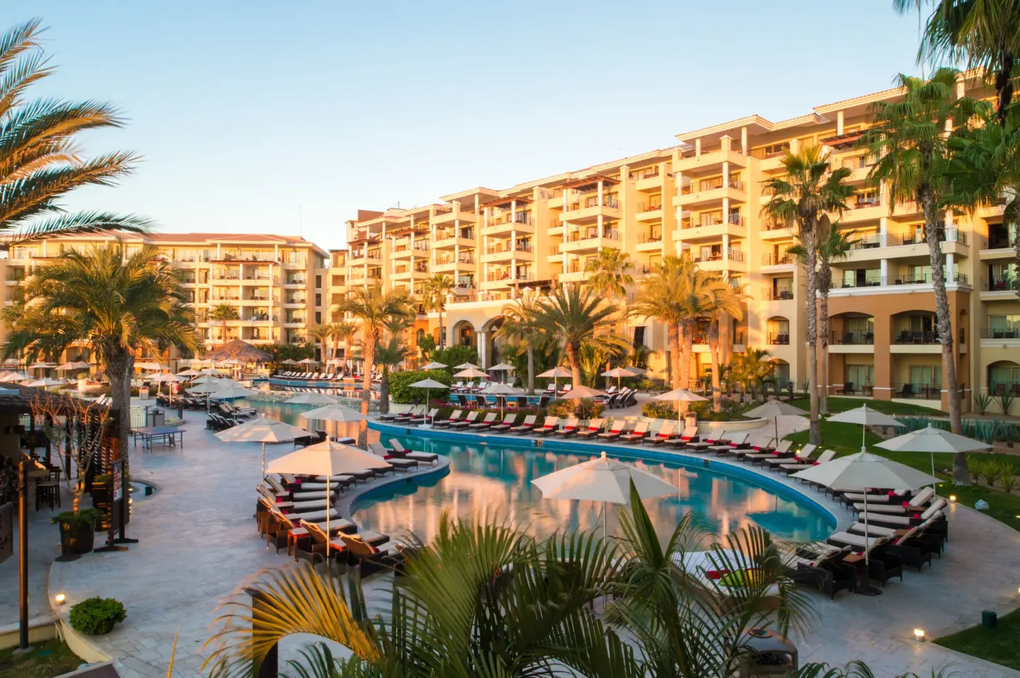 Resort pool courtyard with palms and loungers at Casa Dorada Los Cabos Resort & Spa.