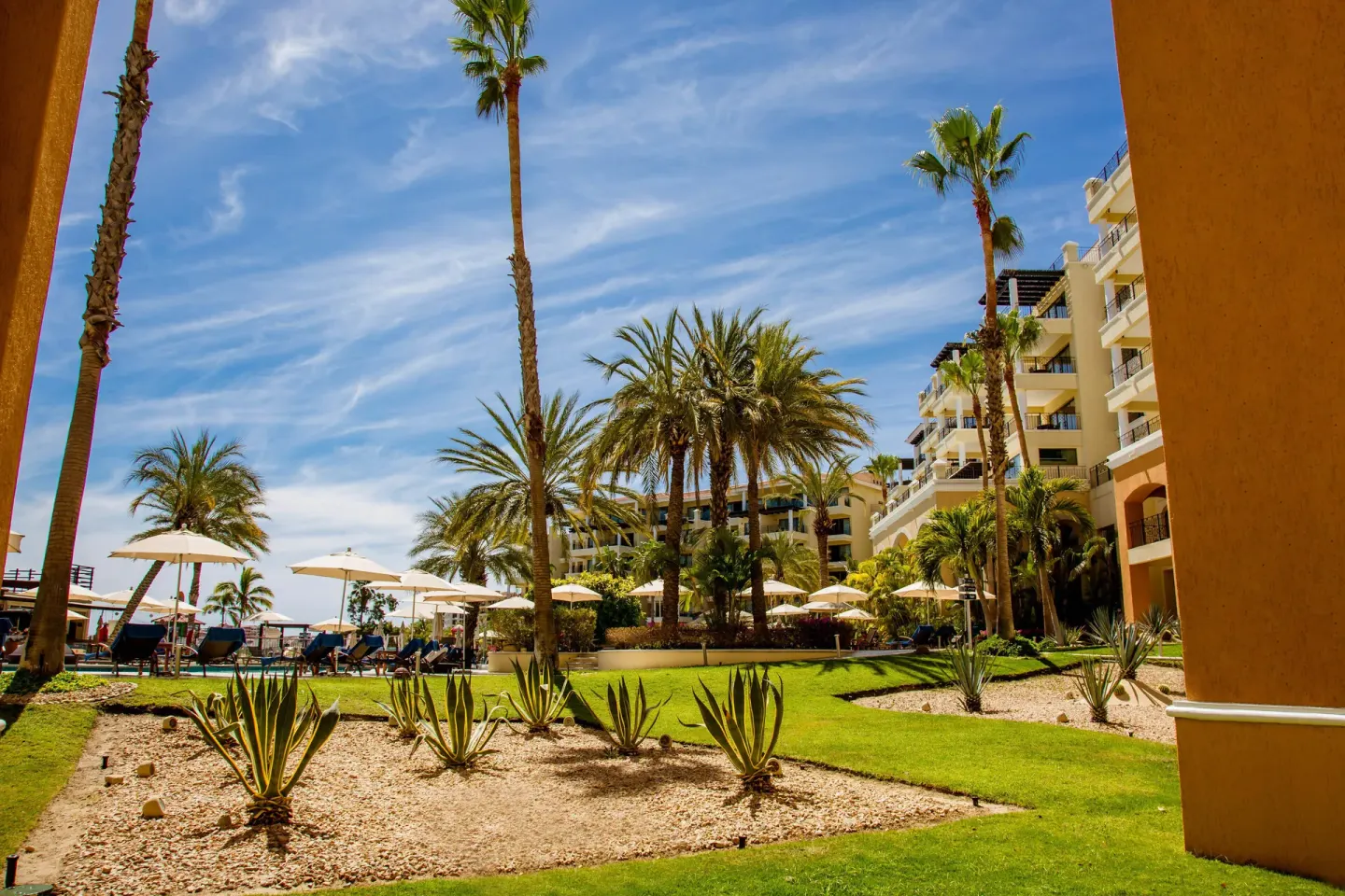 Garden view with palms and resort buildings at Casa Dorada Los Cabos Resort & Spa.