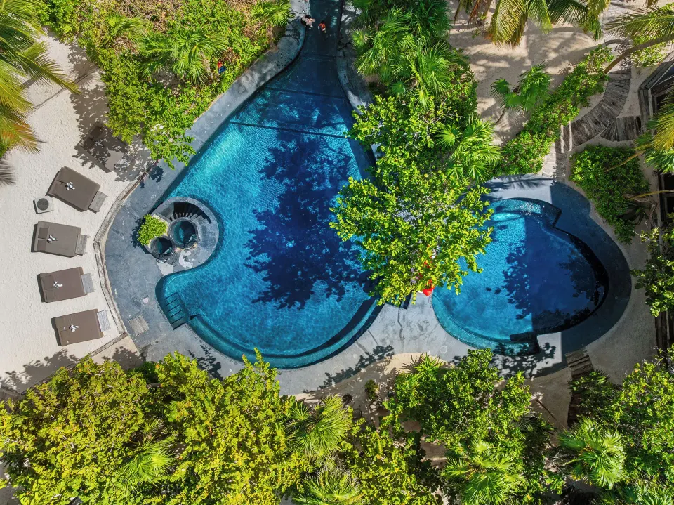 Aerial view of Casa Malca heart-shaped resort pool surrounded by loungers and trees.