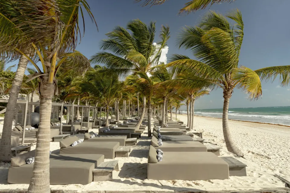 Aligned beachfront daybeds under palms on the sandy shore at Casa Malca