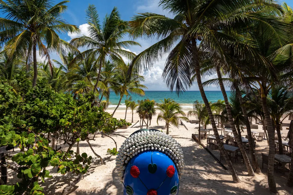 Palm-fringed beach and turquoise sea seen from Casa Malca grounds.