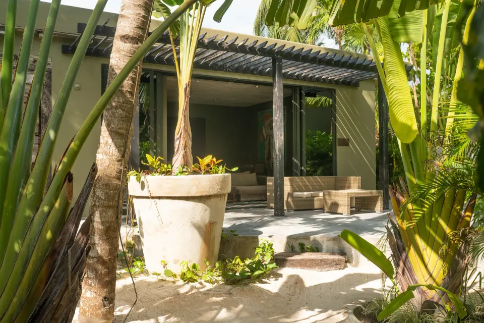 Sunlit terrace seating with planters and wicker chair at Casa Malca
