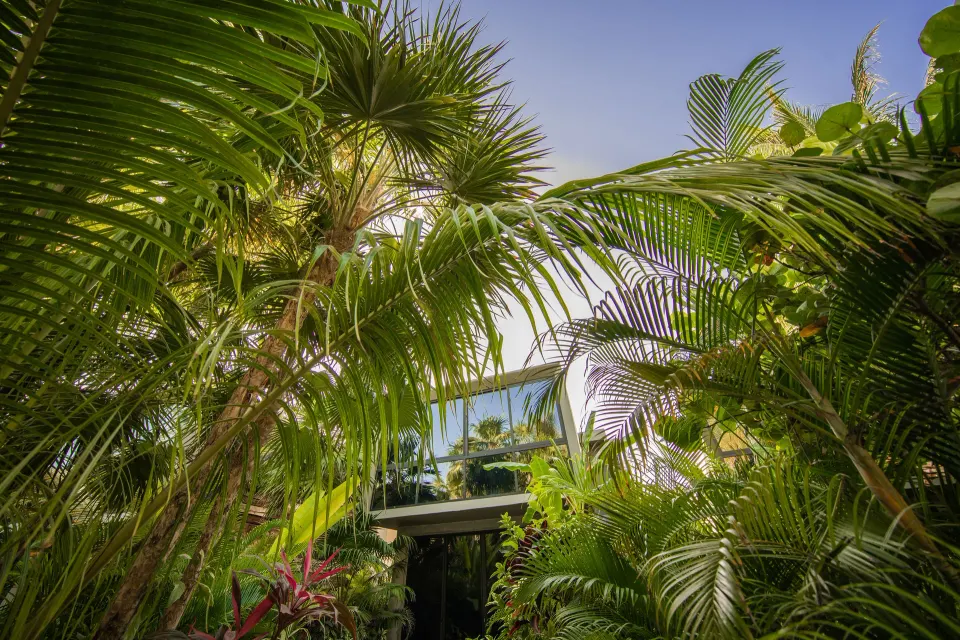 Lush garden foliage framing a view of the junior suite exterior at Casa Malca