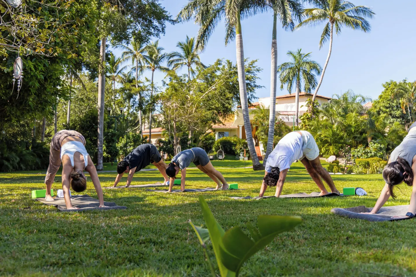 Outdoor yoga class on the lawn beneath palms at Casa Velas.