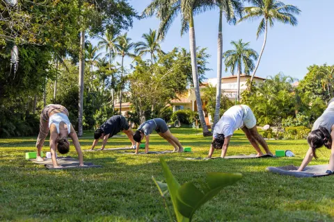 Outdoor yoga class on the lawn beneath palms at Casa Velas.