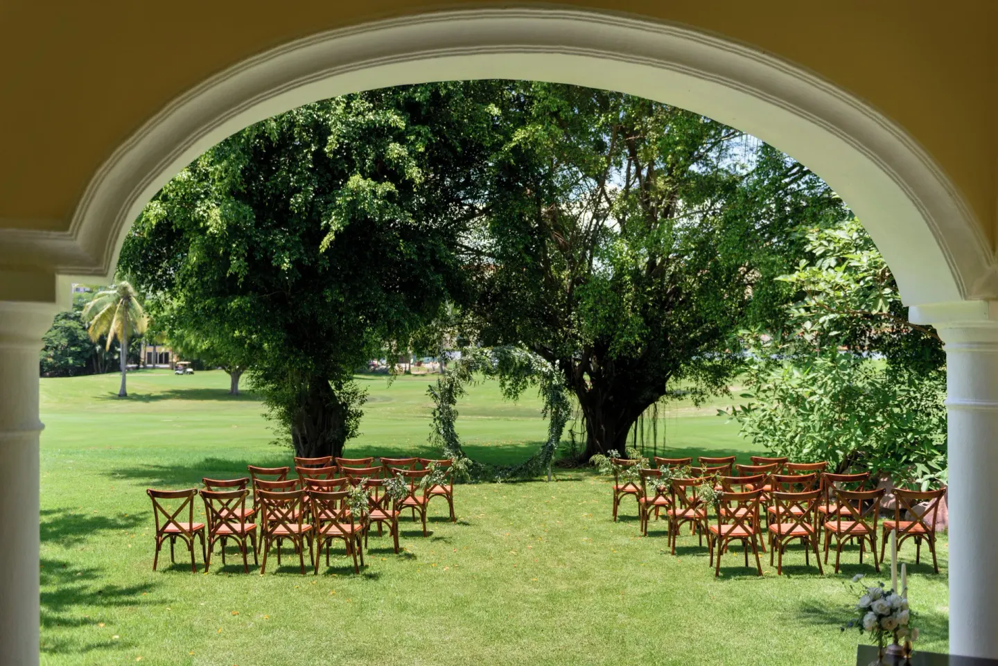 Outdoor ceremony chairs set on a lawn beneath trees at Casa Velas.