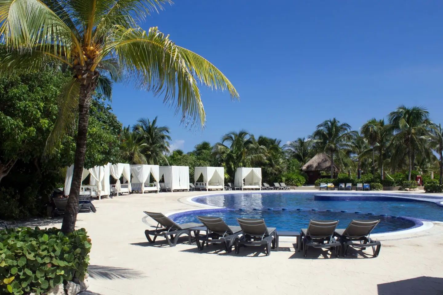 Pool deck with loungers, cabanas, and palm trees at Catalonia Playa Maroma.