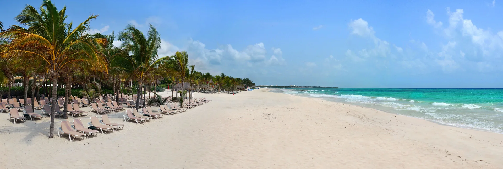 Wide sandy beach with loungers, palms, and turquoise water at Catalonia Playa Maroma.