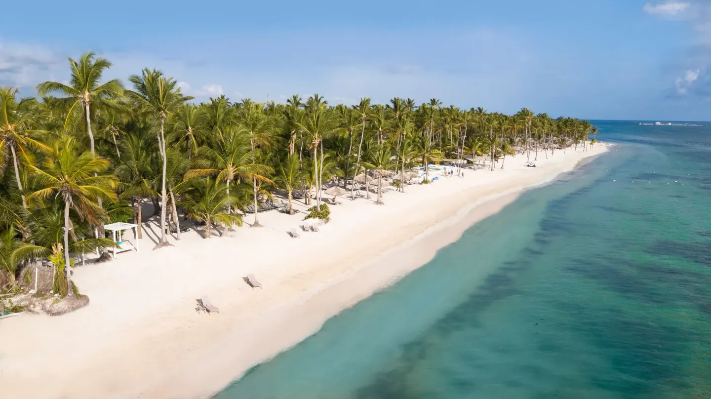 Aerial view of the palm-lined beach and turquoise water at Catalonia Royal Bavaro.