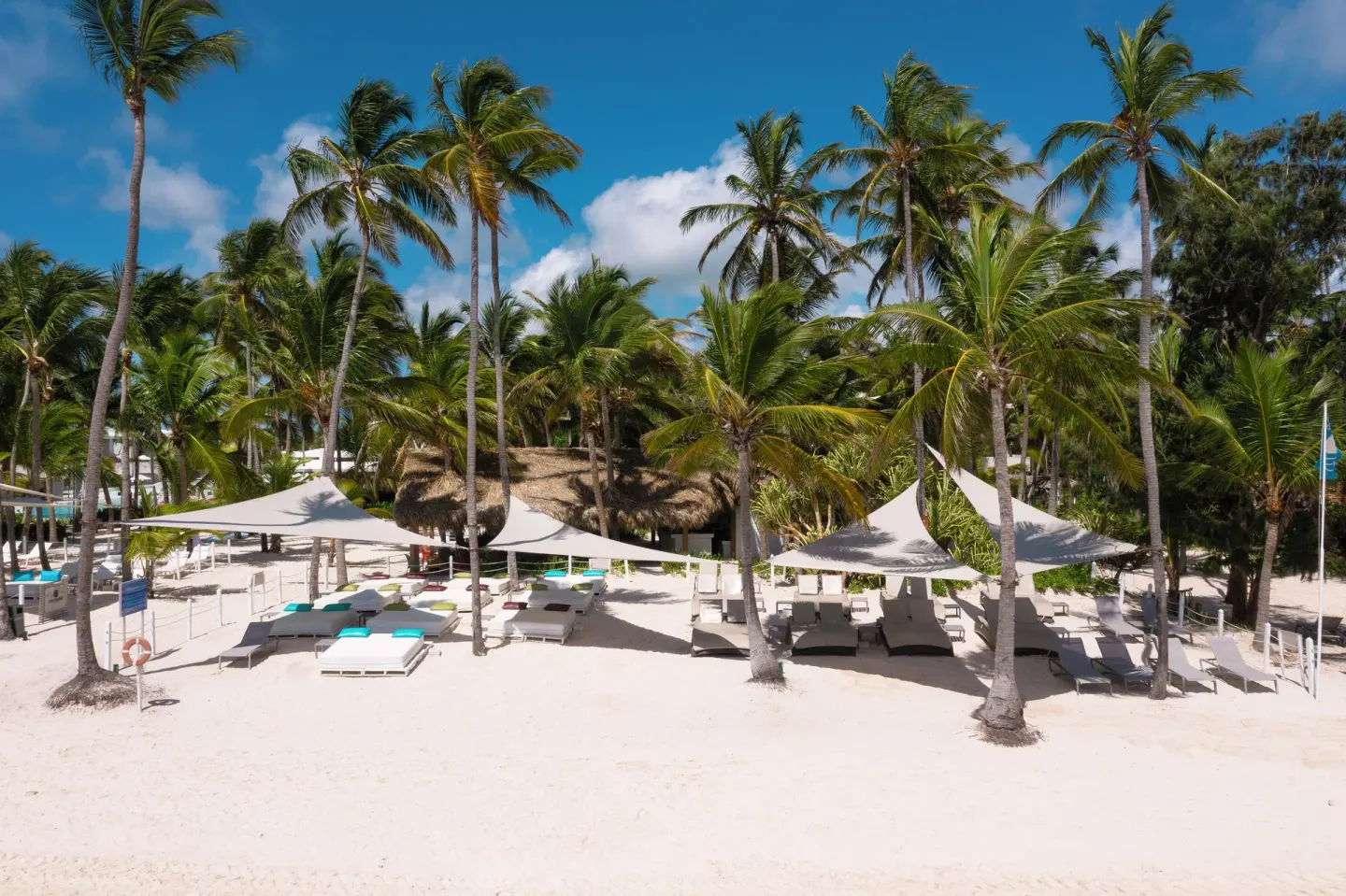 Beach loungers under white shade canopies among palm trees at Catalonia Royal Bavaro.