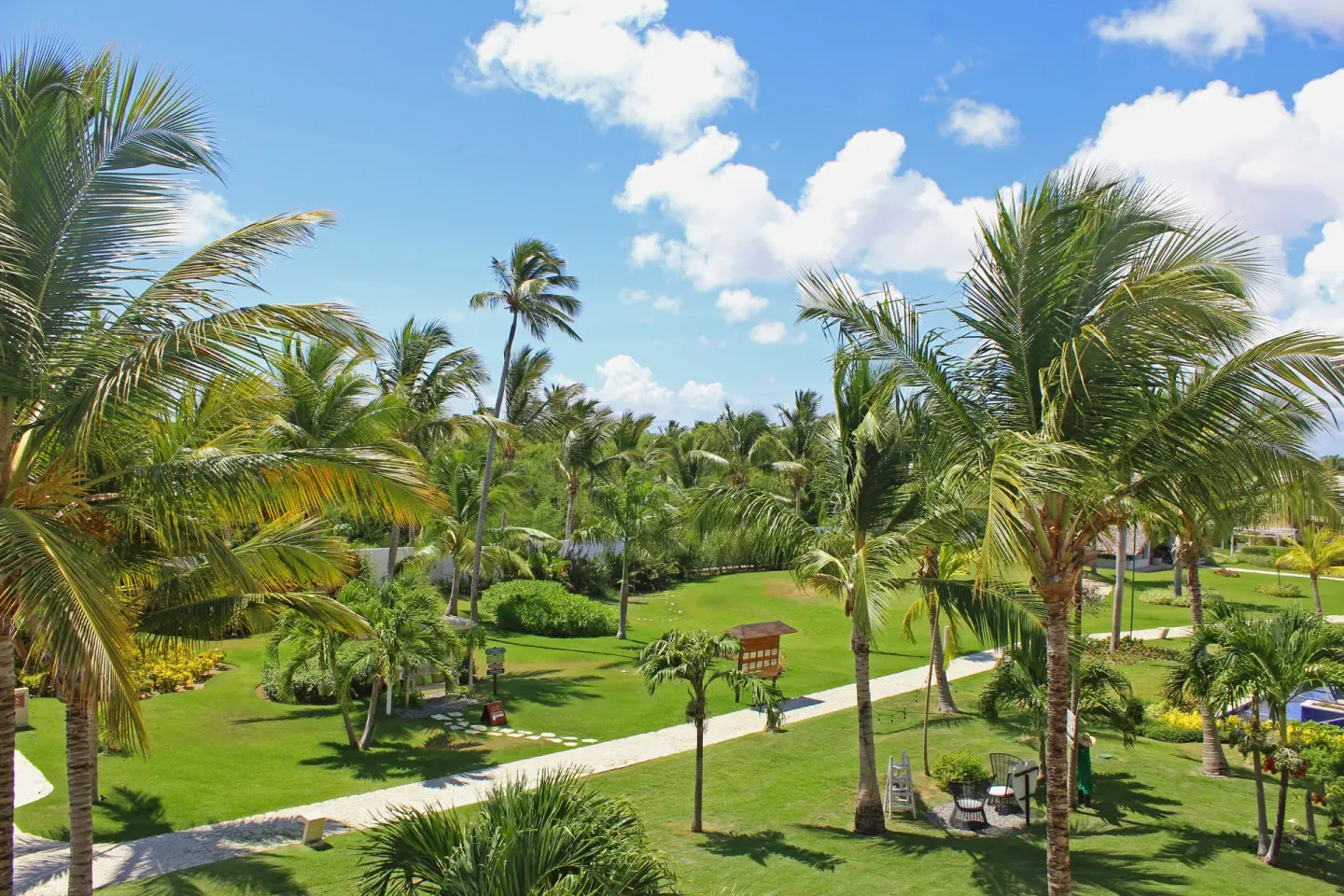 Privileged Deluxe Junior Suite garden view with palms and pathways at Catalonia Royal Bavaro.