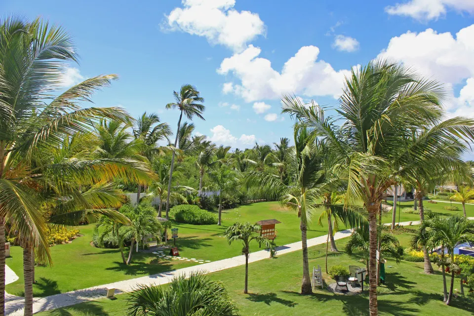 Privileged Deluxe Junior Suite garden view with palms and pathways at Catalonia Royal Bavaro.