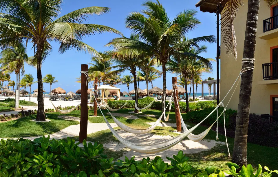Row of hammocks strung between palms near the beach at Catalonia Yucatan Beach
