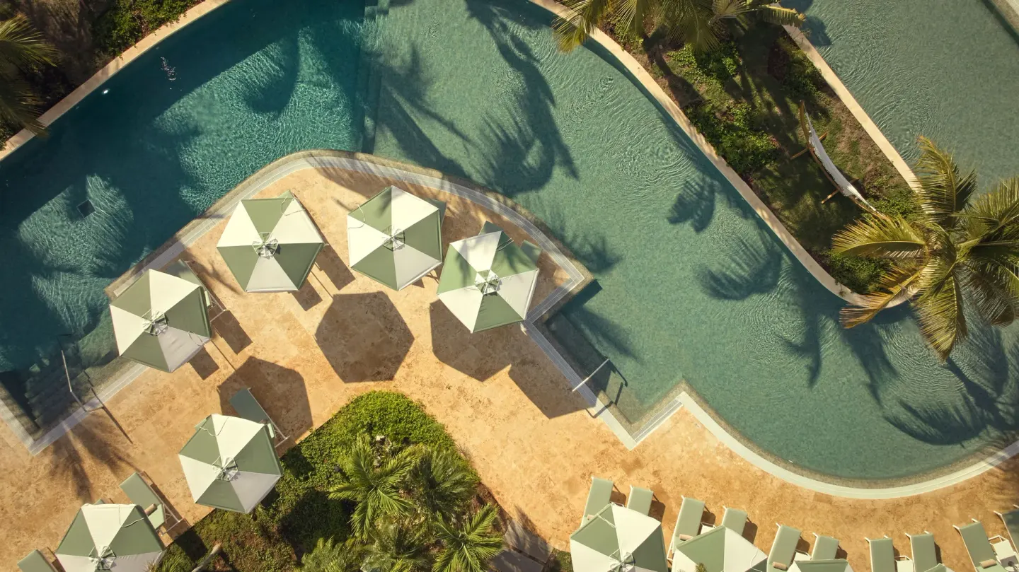 Aerial view of a curving pool with umbrellas and palms at Cayo Levantado Resort.