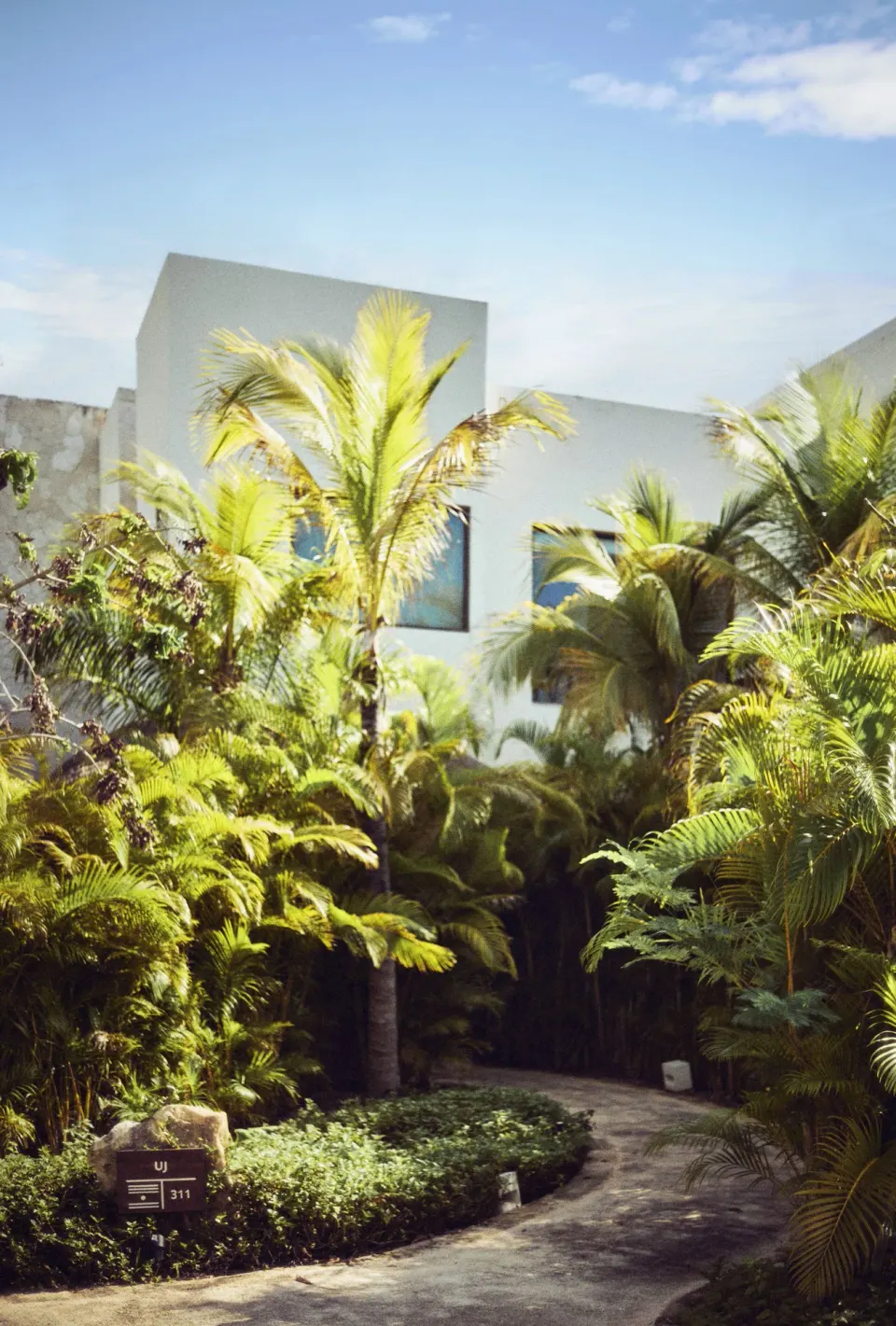 Garden path through palms and greenery beside white villa buildings at Chablé Maroma.