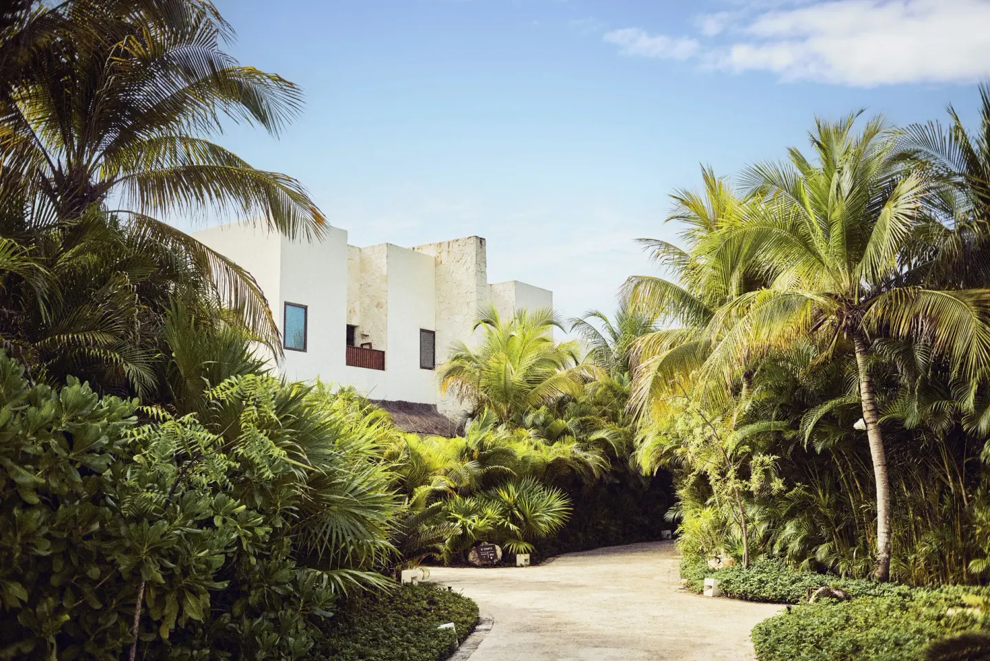 A palm-lined resort drive passes white buildings and tropical foliage at Chablé Maroma.