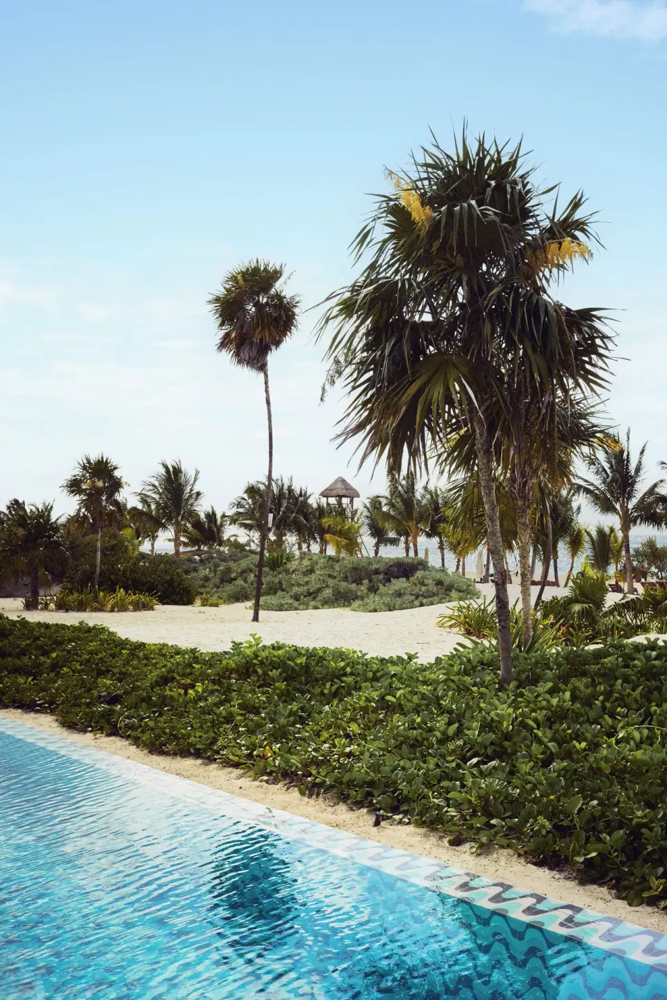 Pool edge with tropical landscaping, palms and sandy beach beyond at Chablé Maroma.