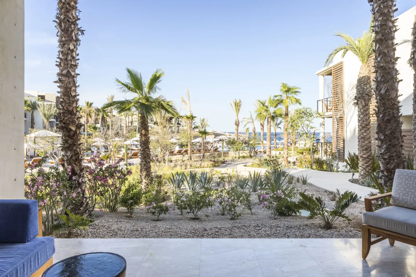 Garden terrace with palms and partial ocean view at Chileno Bay Resort & Residences.