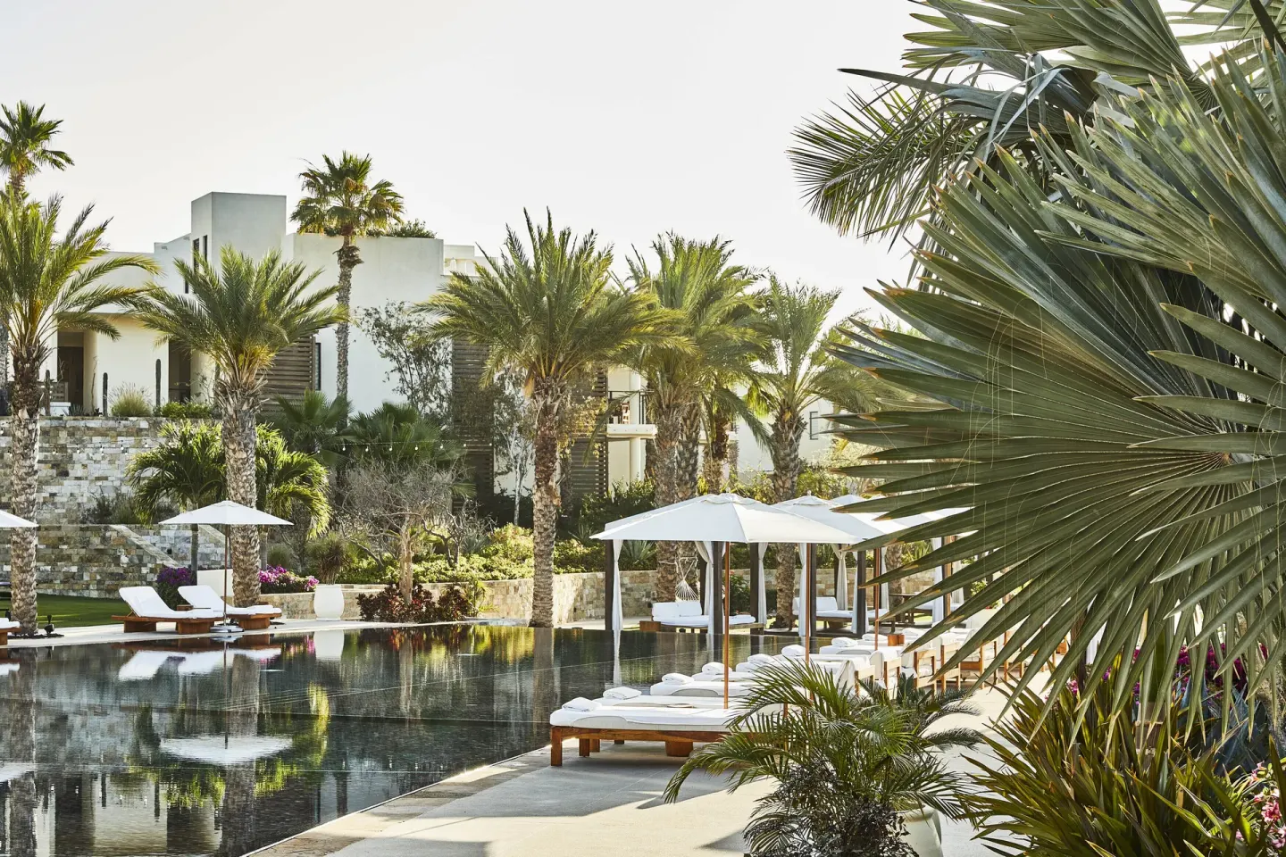 Palm-lined resort pool with loungers and umbrellas at Chileno Bay Resort & Residences.