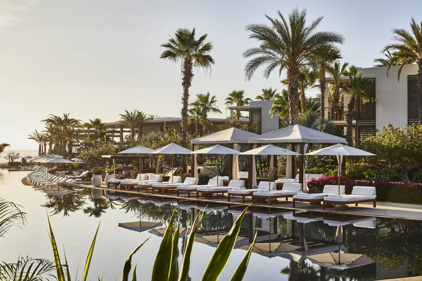 Pool loungers, umbrellas, palms, and resort buildings at Chileno Bay Resort & Residences.