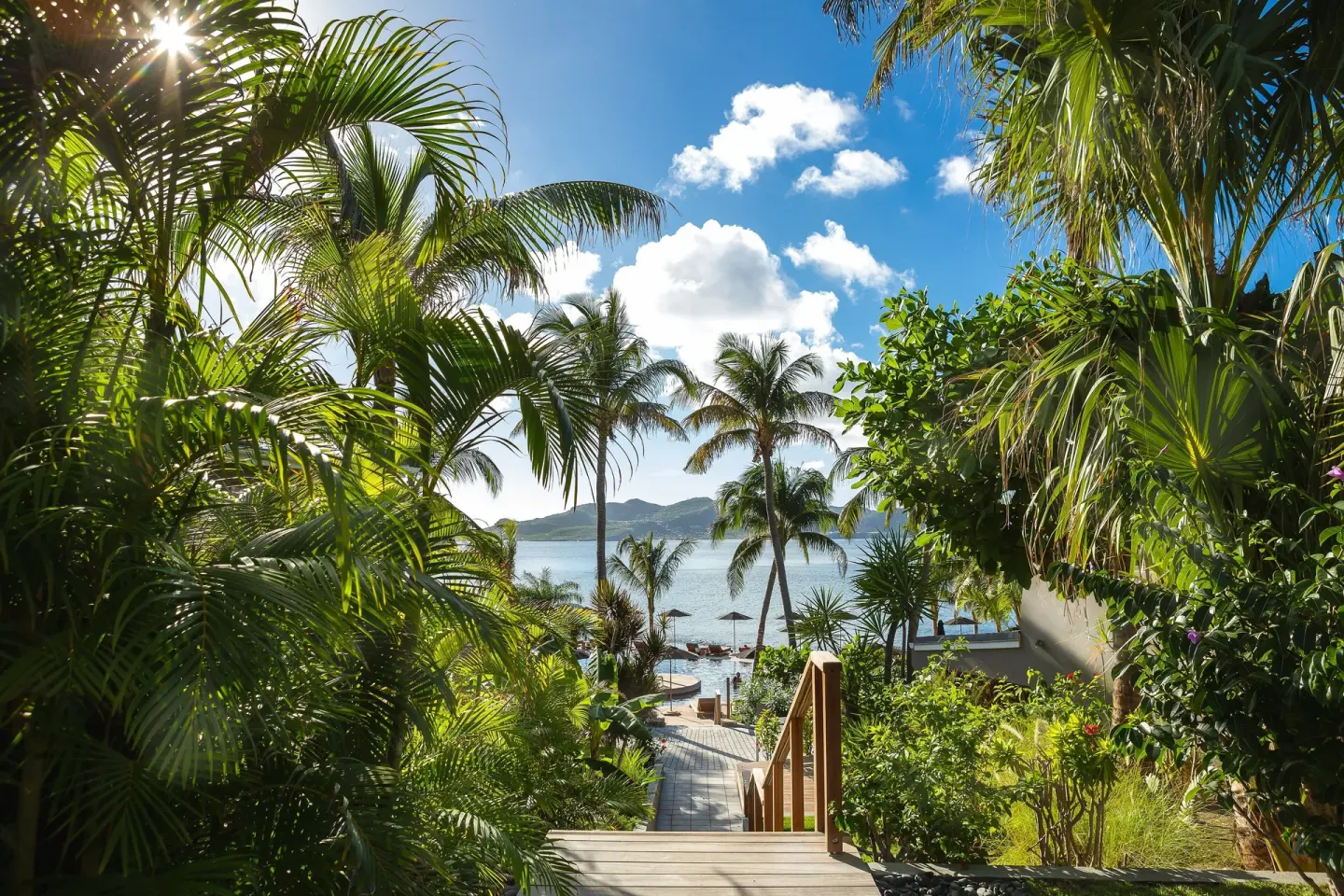 Garden stairway through palms leading toward the sea at Christopher Hotel.