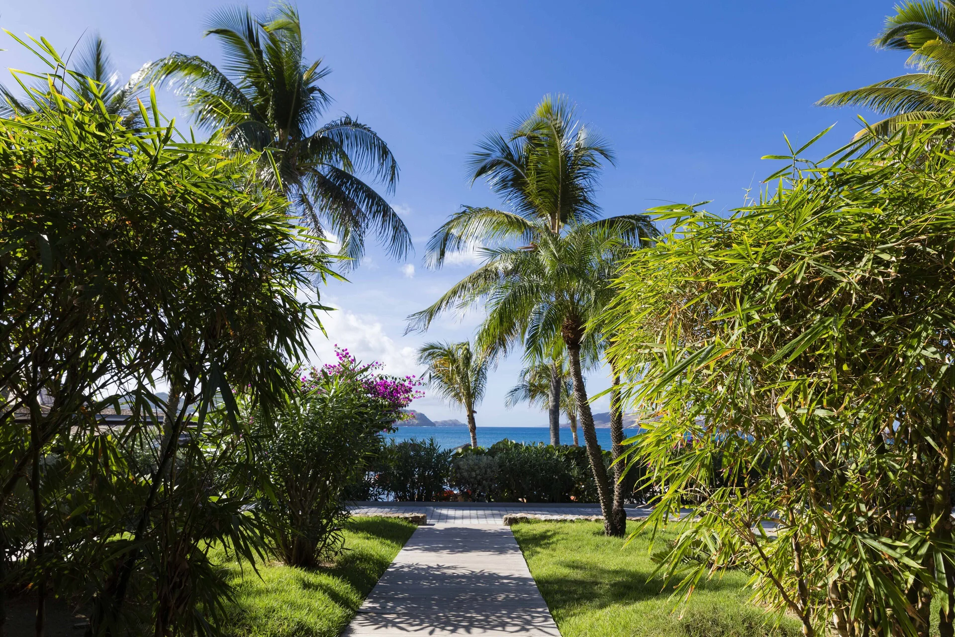 Garden path from the terrace area toward the ocean at Christopher Hotel.