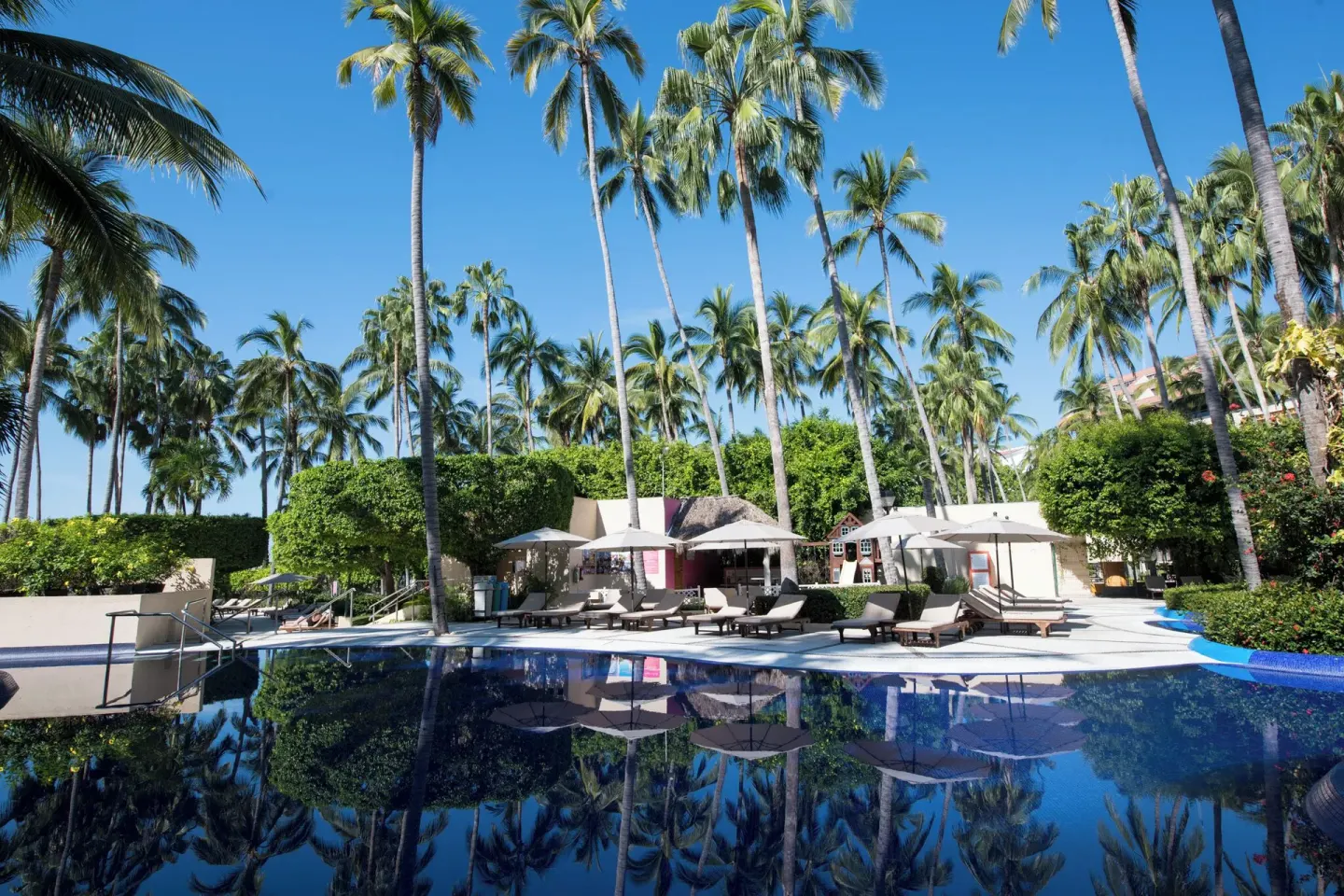 Pool deck with loungers and palm trees at Club Regina Puerto Vallarta.