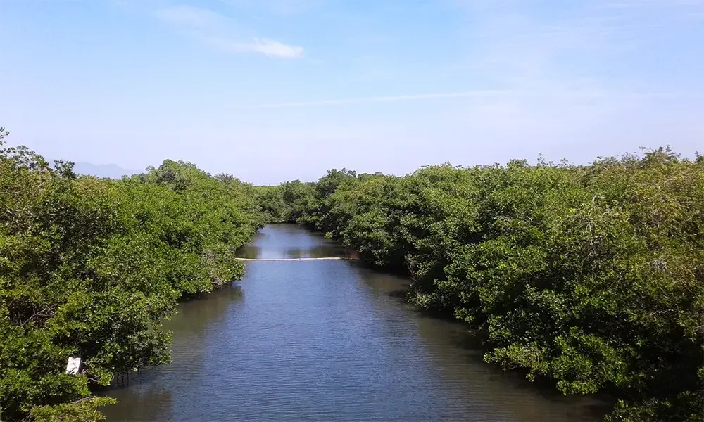 El Salado Estuary State Park 5 Min Drive