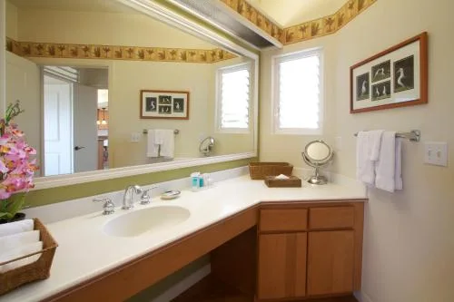 Three-Bedroom Villa bathroom vanity with mirror at Club Wyndham Bali Hai Villas.