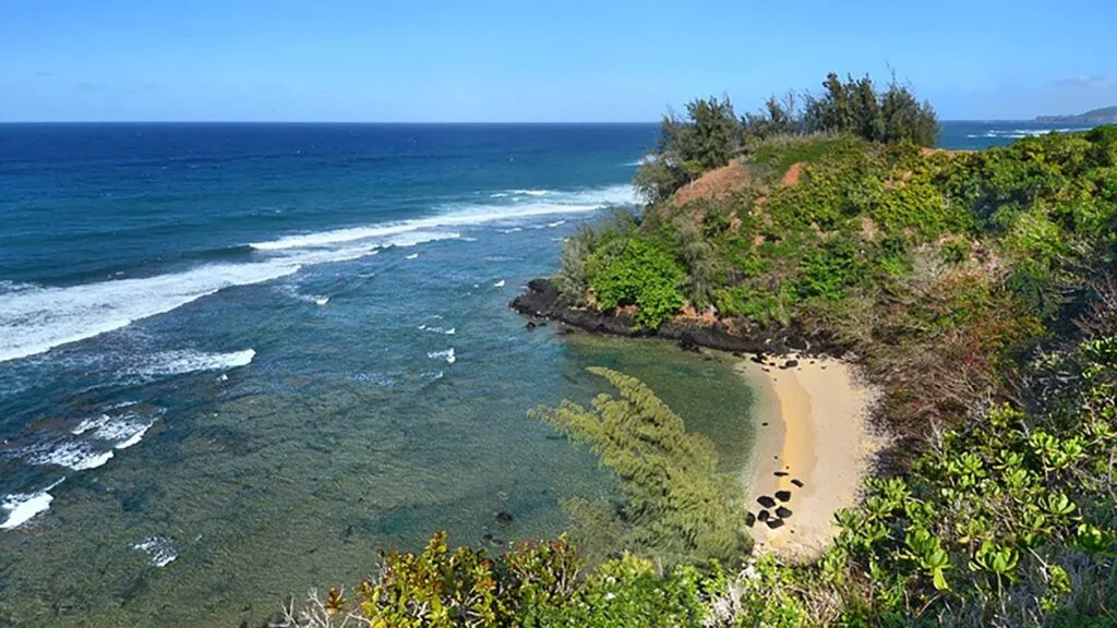 Sealodge Beach 1 Min Drive