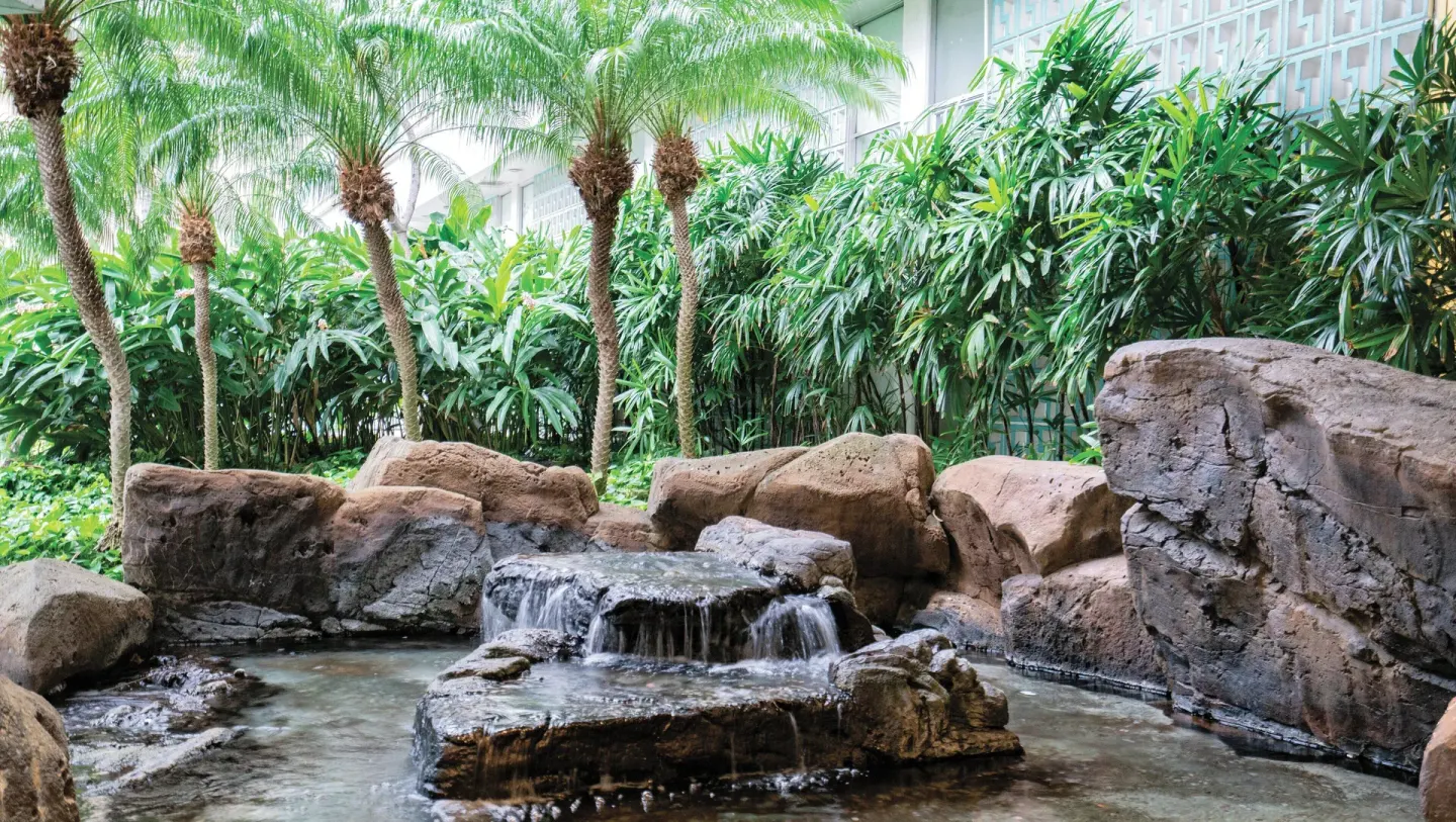 Rock waterfall and tropical palms at Club Wyndham Royal Garden at Waikiki.