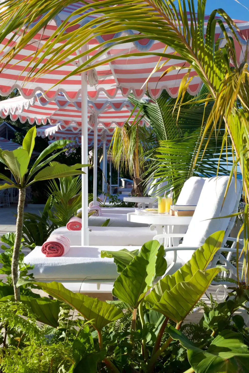 White loungers under pink striped umbrellas in tropical gardens at Cobblers Cove.