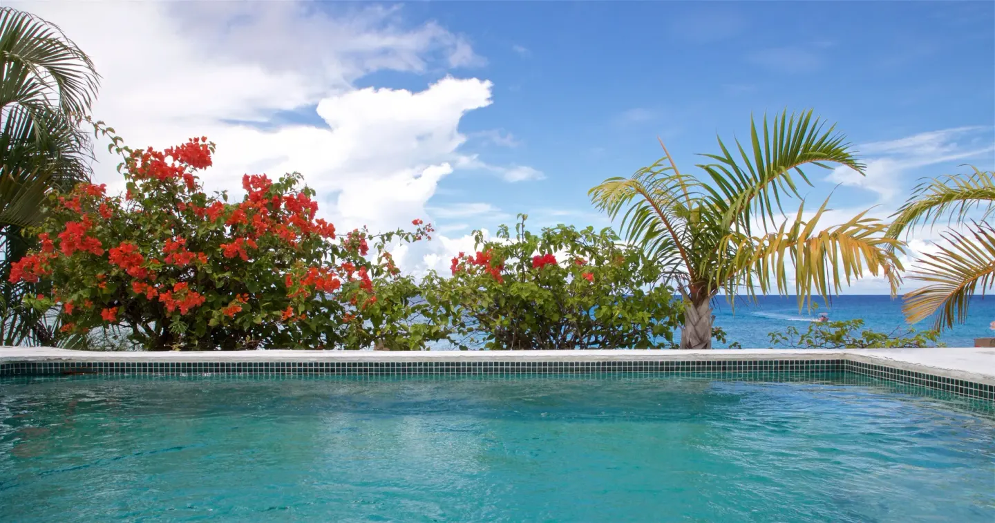 Swimming pool edge with palms, red flowers, and ocean beyond at Cobblers Cove.