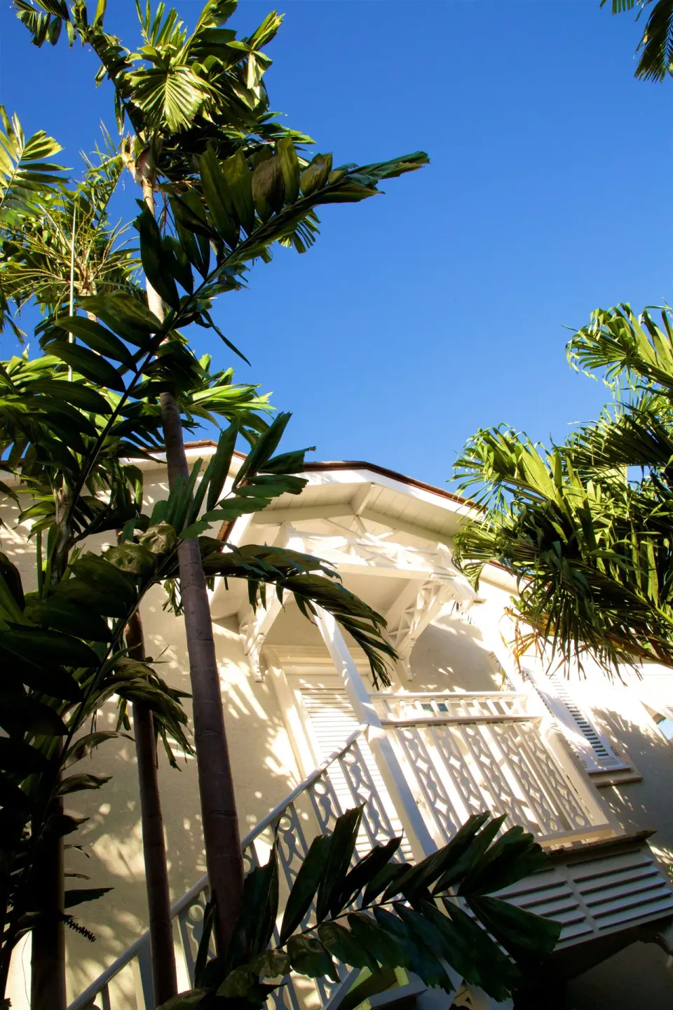 Resort exterior and tropical palms under blue sky at Cobblers Cove.