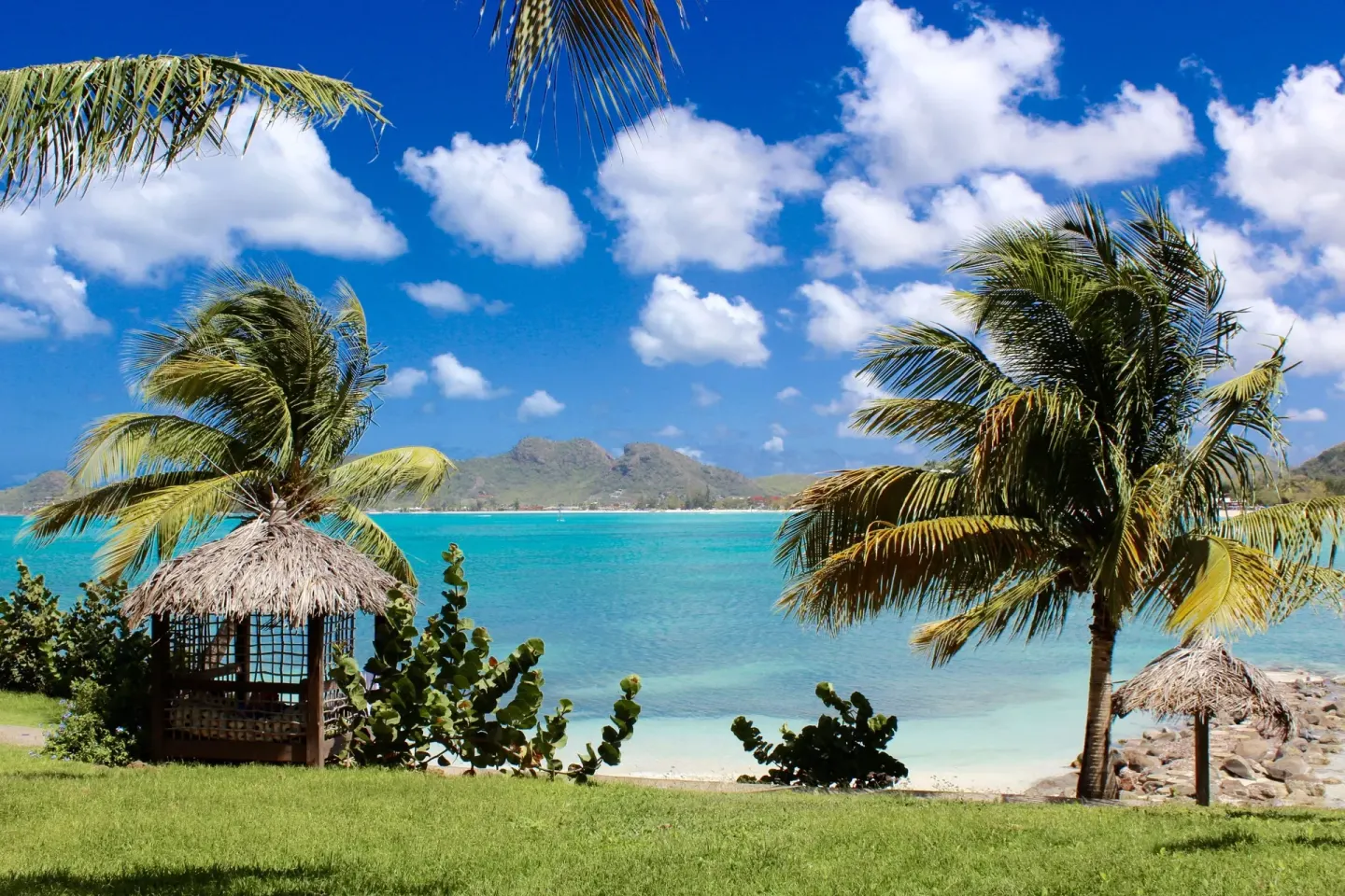 Palm trees and thatched shade beside turquoise water at Cocobay Resort.